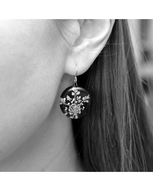 Laura Daili Black Queen Anne's Starry Night Earrings