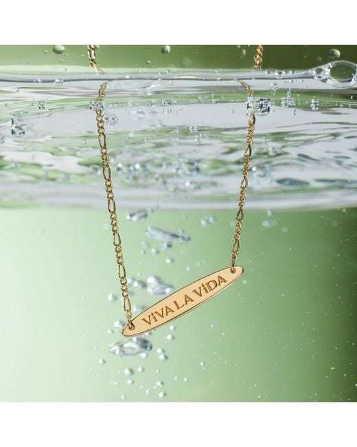 Vanhi Metallic Viva La Vida Bar Chain Bracelet