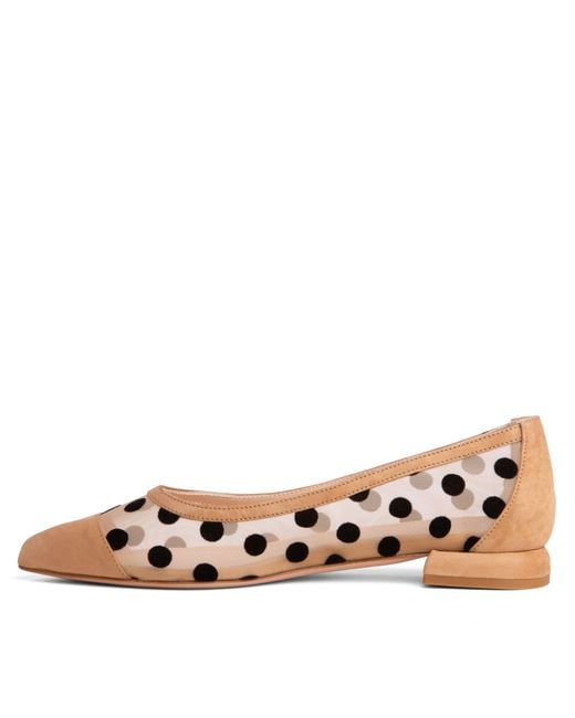 Beautiisoles by Robyn Shreiber Made in Italy Brown Blake Suede Ballerina Polka Dots & Mesh Comfortable Work & Evening Sexy Flat