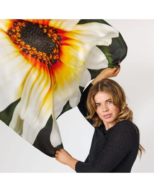 Lindsay Nicholas New York Metallic African Daisy Bloom Silk Scarf