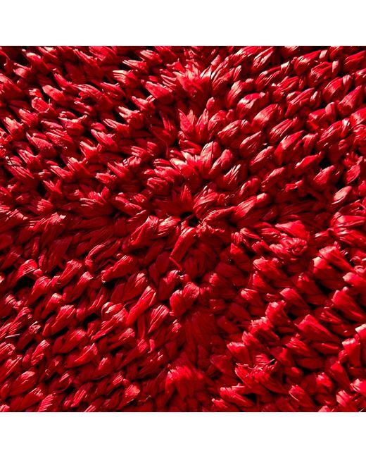 Zanatany Concepts Red Nico- Tote Bag