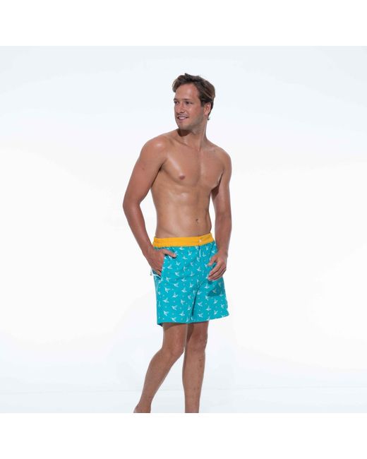 Live Kolibri Blue Luxury Swim Trunks for men