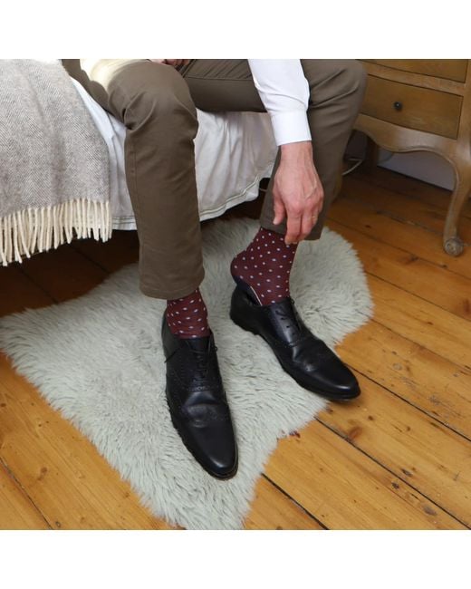 Peper Harow - Made in England Purple Burgundy Pin Polka Tie & Socks Groom's Set for men