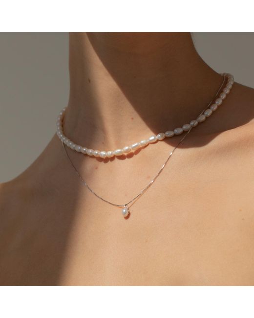 Arctic Fox & Co. Metallic Single Pearl Chain Necklace