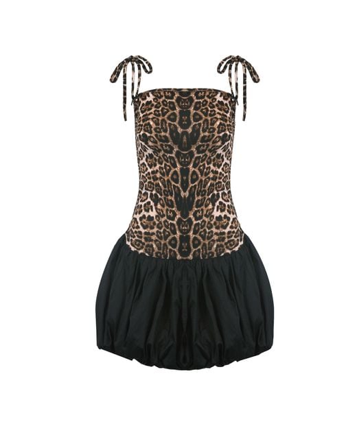 Amy Lynn Black Alexa Leopard Print Puffball Ultra Mini Dress