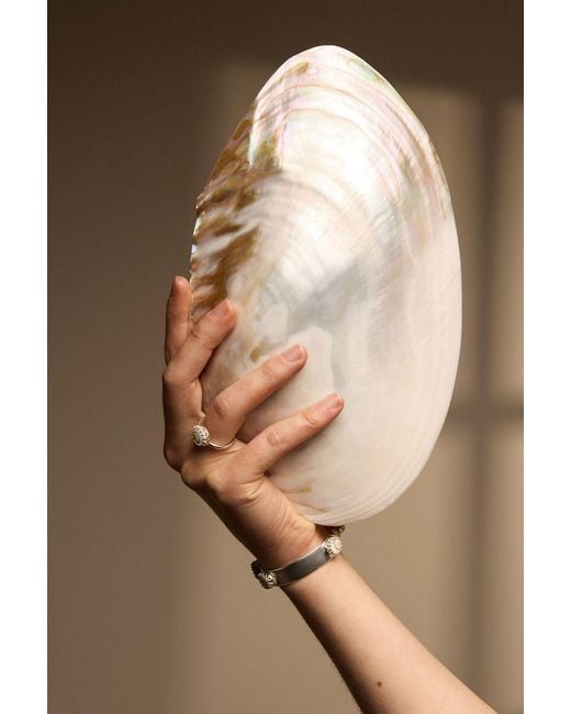 Arianne Delaney White Sterling Shiva Shell Gemstone Ring