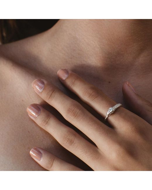 Zoe & Morgan Metallic Eternity Snake Ring