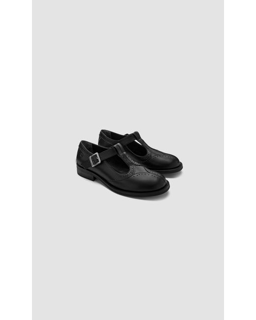 PREVU Black Rosa