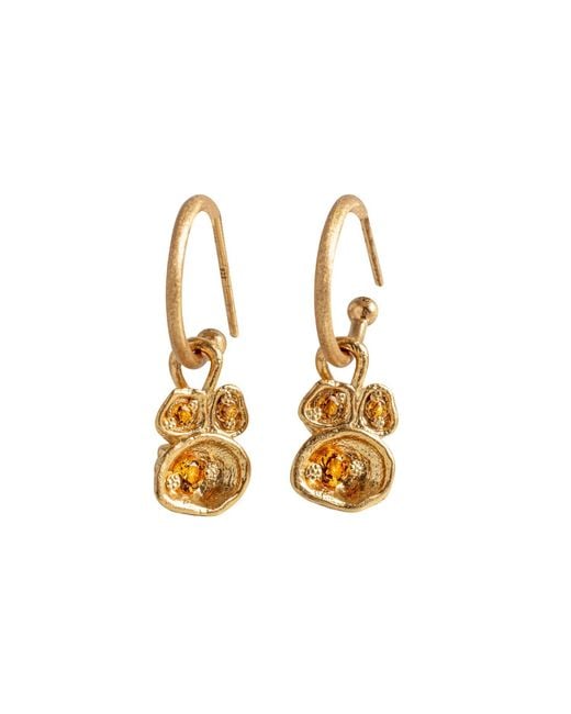Claire Hill Designs Metallic Citrine Lichen Hoop Earrings
