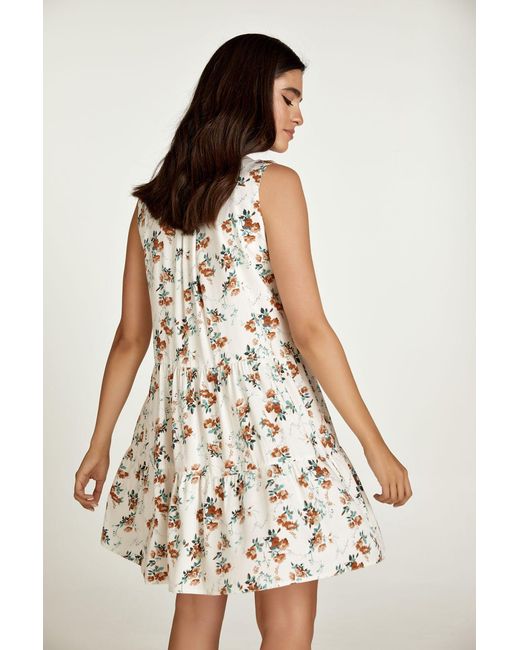 Conquista Natural Neutrals Sleeveless Ecru Floral A Line Dress