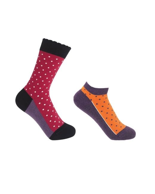 Peper Harow - Made in England Pink Pin Polka Burgundy Luxury Crew & Berry Trainer Socks Bundle