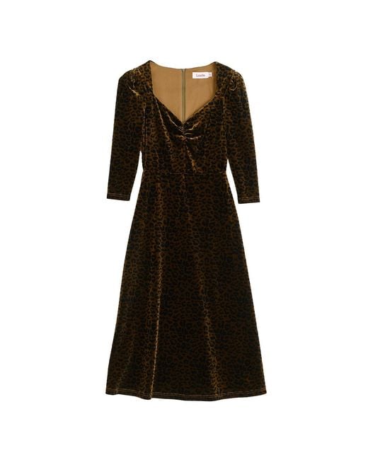 Louche Black Neutrals Ambrose Velvet Roar Midi Dress