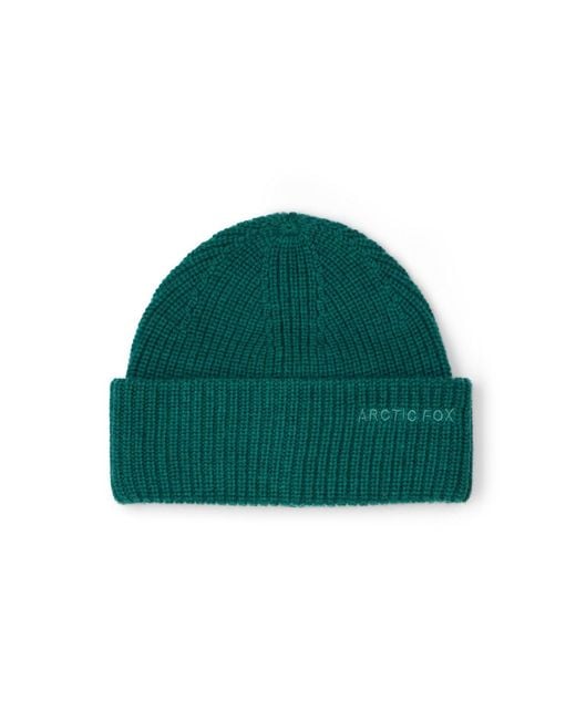 Arctic Fox & Co. Green Embroidered Merino Wool Beanie