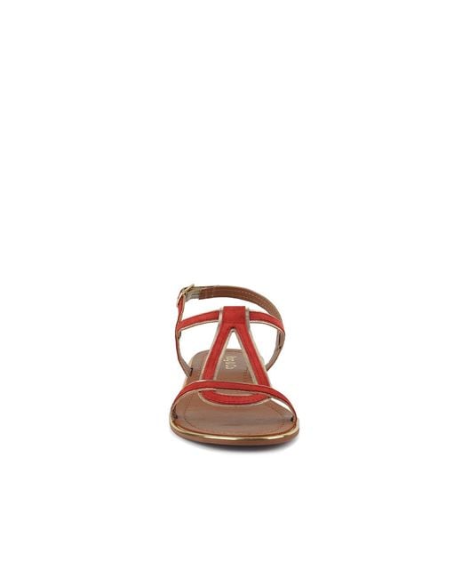 Rag & Co Brown Feodora Flat Slip-On Sandals By Rag & Co