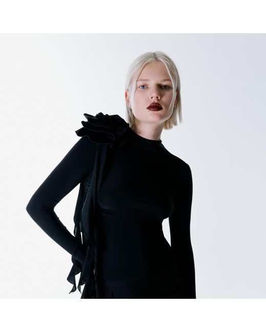 Herfetch Black Rosy 0.2 Top