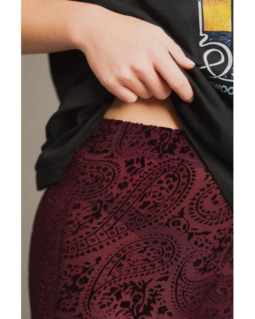 Little Lies Red Hendrix Plum Devore Velvet Flares