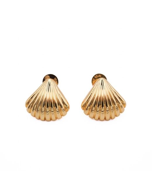 Miss Cecilia Metallic Shell Ear Studs