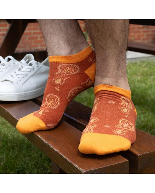 Peper Harow - Made in England Orange Organic Trainer Socks Bundle – for men