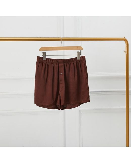 Soft Strokes Silk Brown Deep Coffee Pure Mulberry Silk Boxers for men