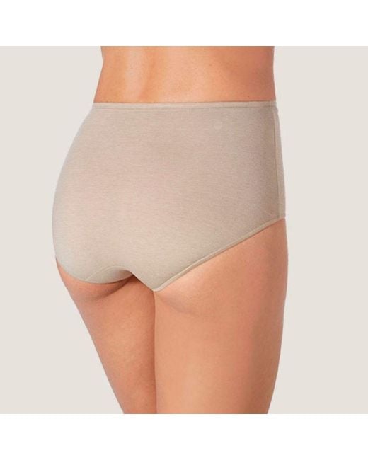 Zd - Zero Defects Gray Neutrals Atenea High-Waist Brief – Stylisht Fit & Comfort With Soy Fiber