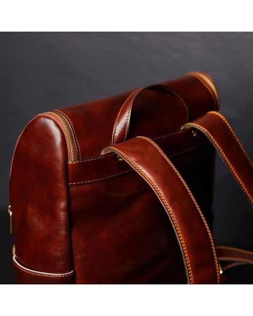 Time Resistance Brown Large Leather Backpack for men