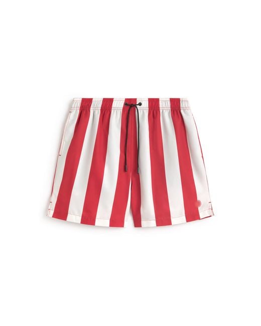 Thinking Mu Red Striped Swimsuit Limpopo for men