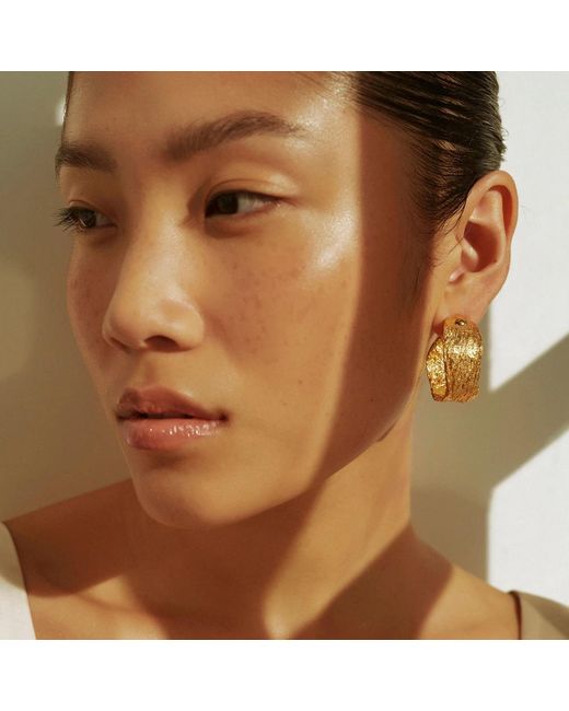 EVA REMENYI Metallic Archaic Chunky Hoop Earrings