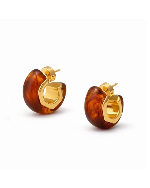 Hye Jane Jewelry Orange Rae Tortoise Resin Hoop
