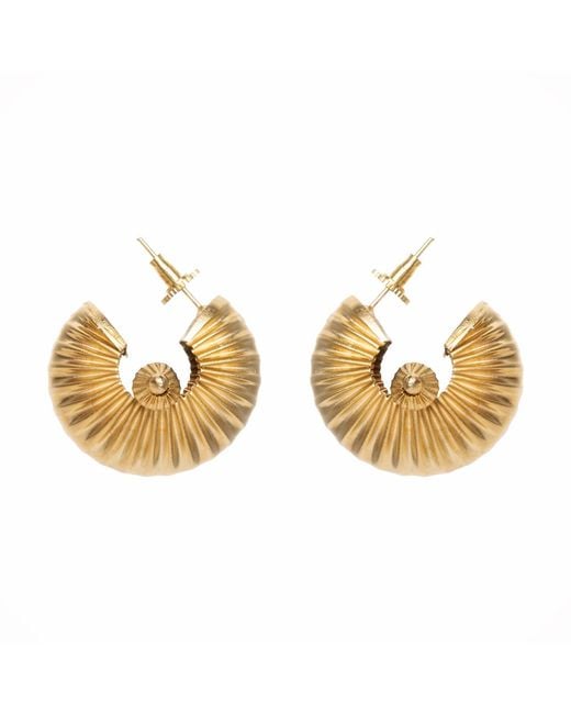 Meraki by Rashmi Bajaj Metallic Oriana Plated Hoop Earrings