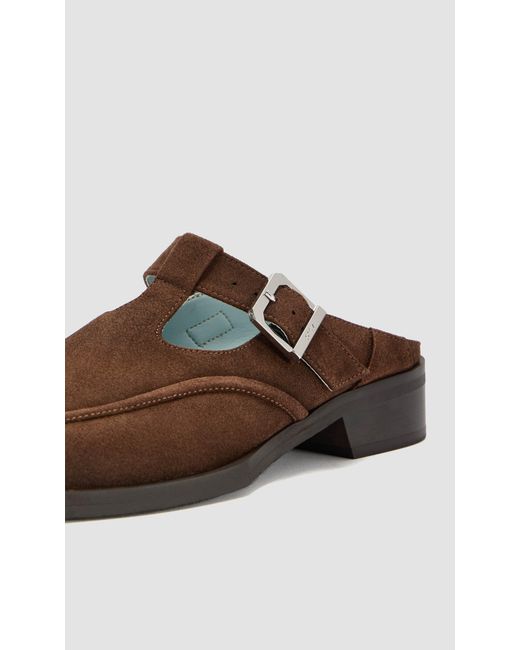 PREVU Brown Lou