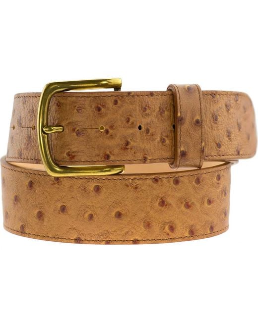 Peachy Belts Ltd Metallic Tan Ostrich Belt Leather Belt With Our Steer's Head Buckle