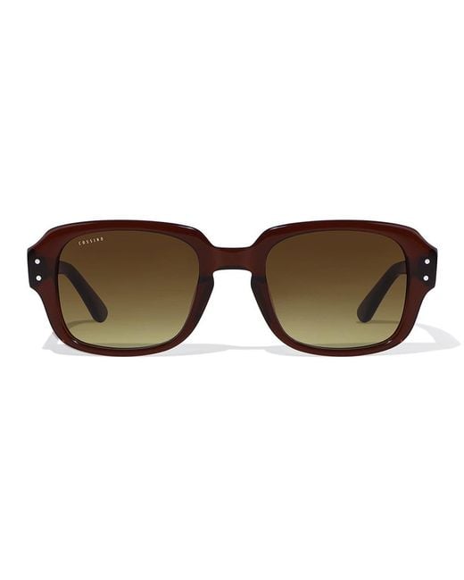 Cossimo Brown Belize Mas Acetate Sunglasses