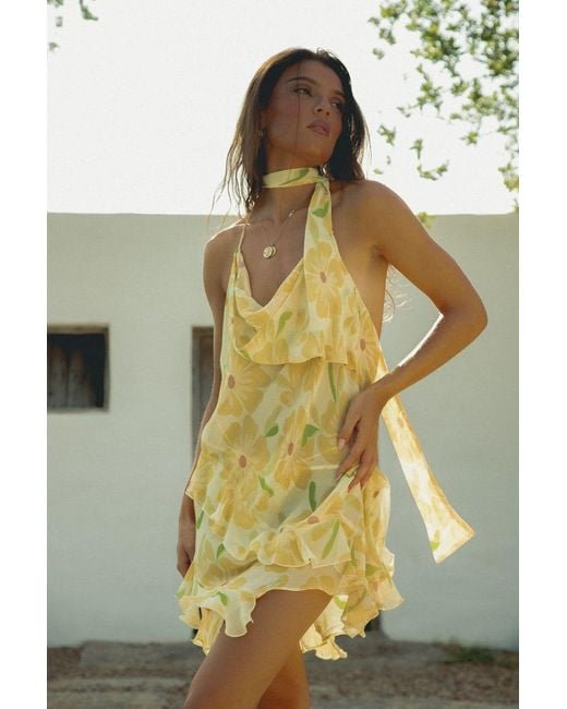 Wild Lovers Metallic Sundance Dress