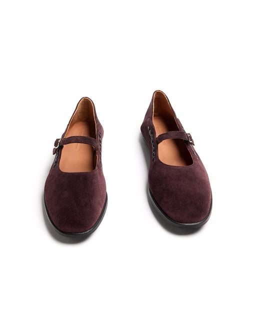 Naguisa Red Sonia Eggplant