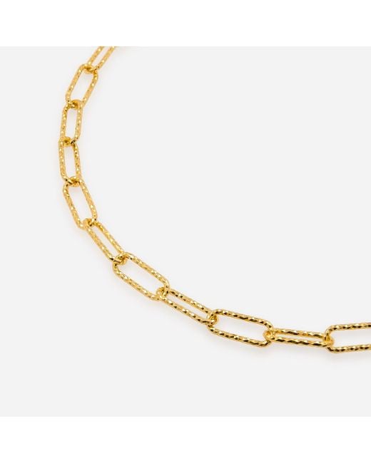 Cote Cache Metallic Asteria Textured Chain Necklace