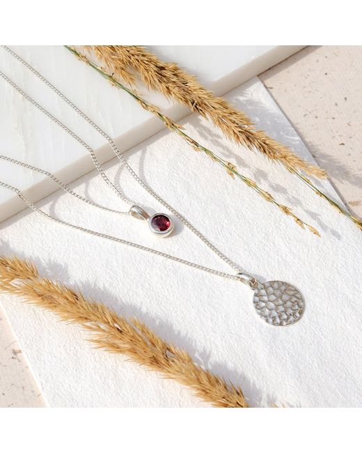 Charlotte's Web Jewellery Metallic January Birthstone Charm Necklace Garnet