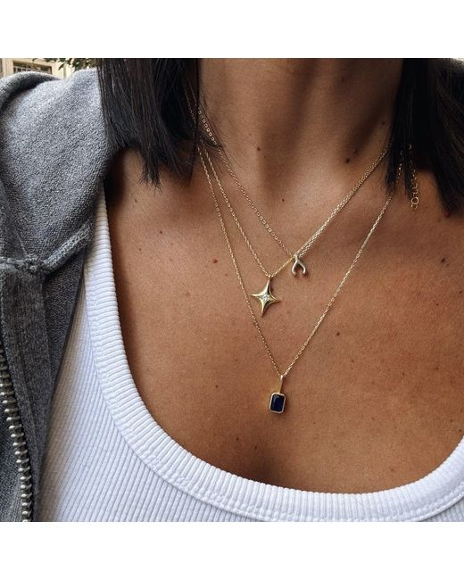 The Pheia Metallic North Star Necklace