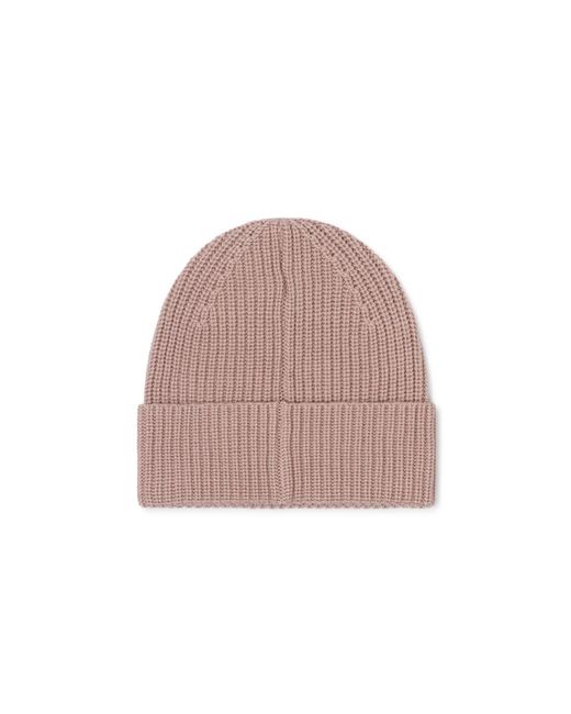 Arctic Fox & Co. Pink Neutrals The Merino Wool Beanie