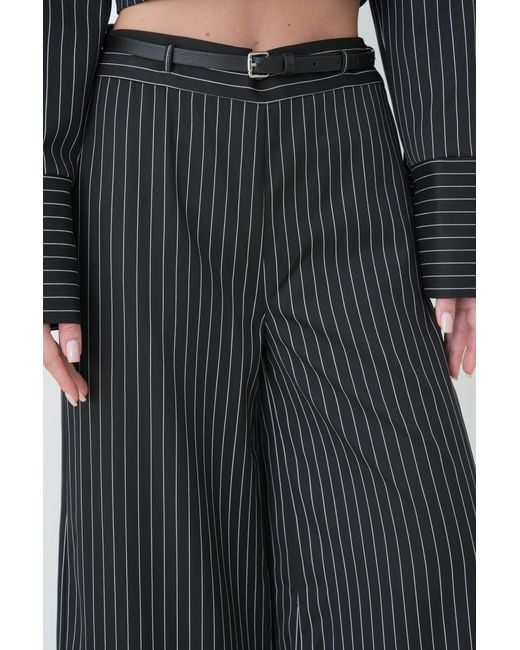 Lumina Eligma Black The Pinstripe Architect Set