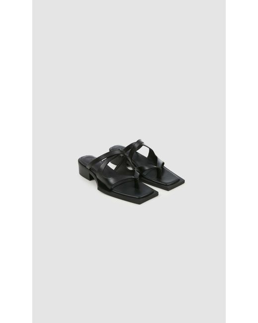 PREVU Black Karel Mule