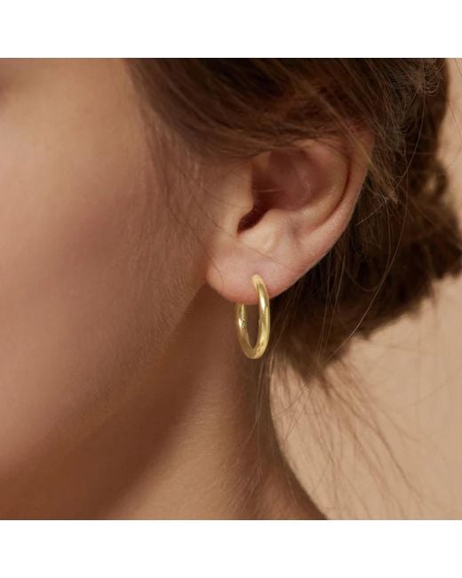 Unaloe Metallic Plated Hoop Earrings– Timeless Elegant Jewelry