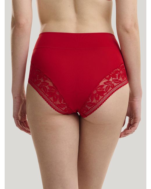 Lace Brief, Femme, Glow, Taille Wolford en coloris Red
