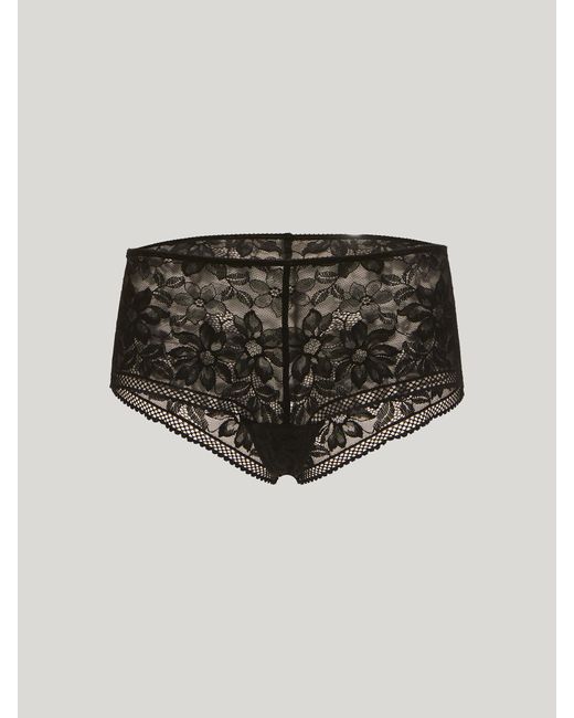 Lace High Waist Panty, Femme, , Taille Wolford en coloris Black