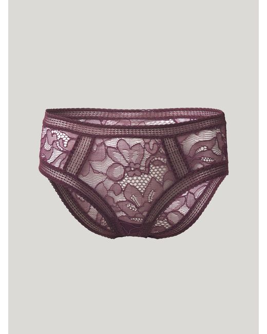 Nets And Roses Brief, Femme, , Taille Wolford en coloris Pink