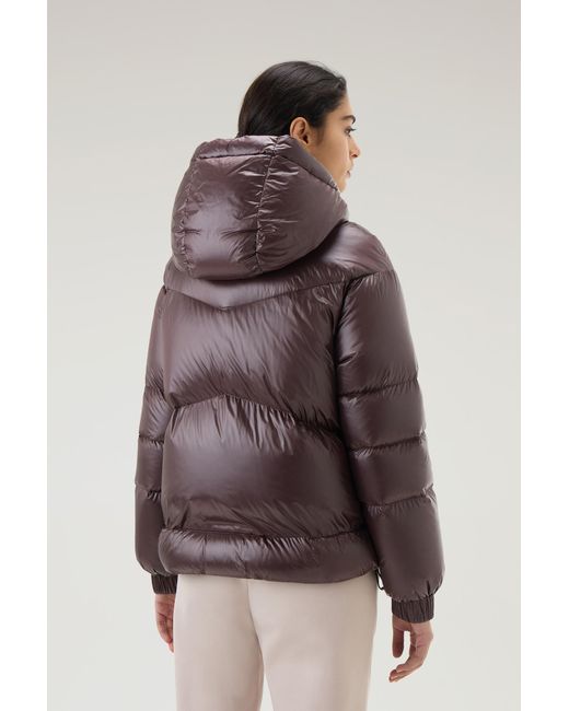 Woolrich Brown Aliquippa Short Down Jacket In Glossy Nylon