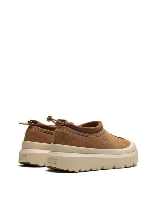 Ugg Brown "Tasman Weather Hybrid" Slip-On for men
