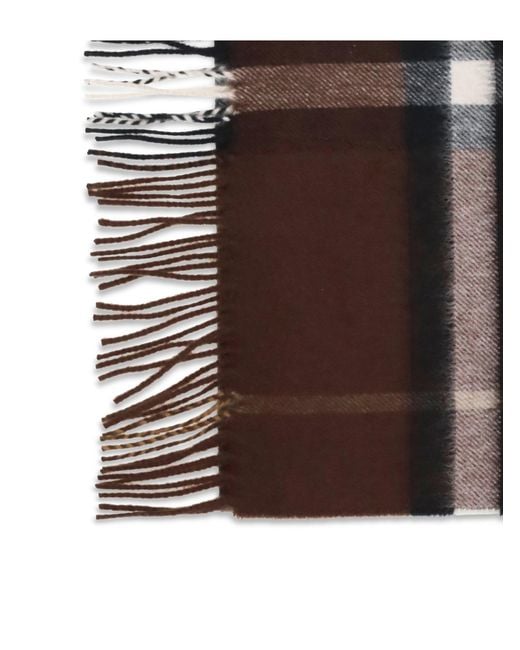 Burberry Brown Scarves