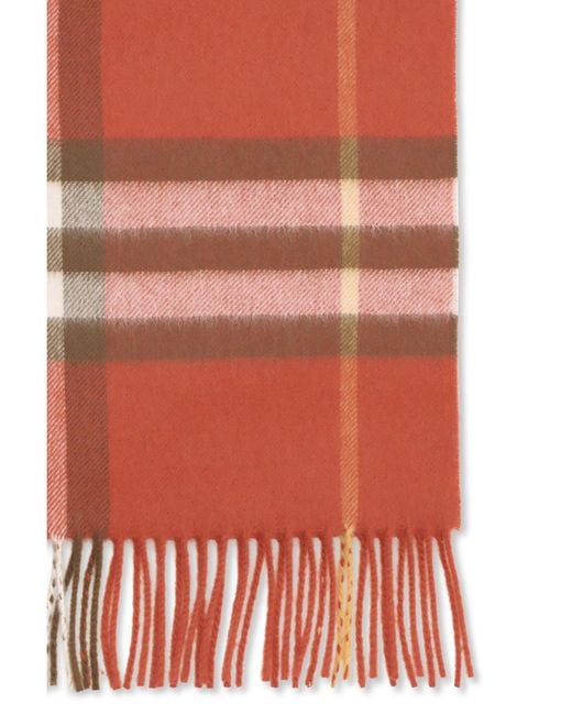 Burberry Red Scarves