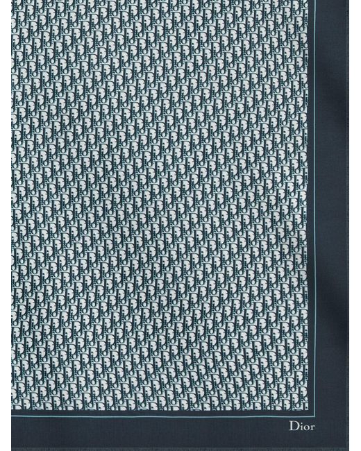 Dior Gray Dior Dior Oblique Cashmere Foulard