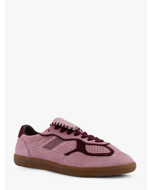 Alohas Purple Sneakers Tb 490 Suede